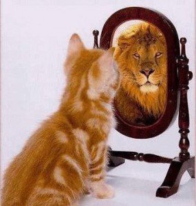 cat-lion-mirror-image